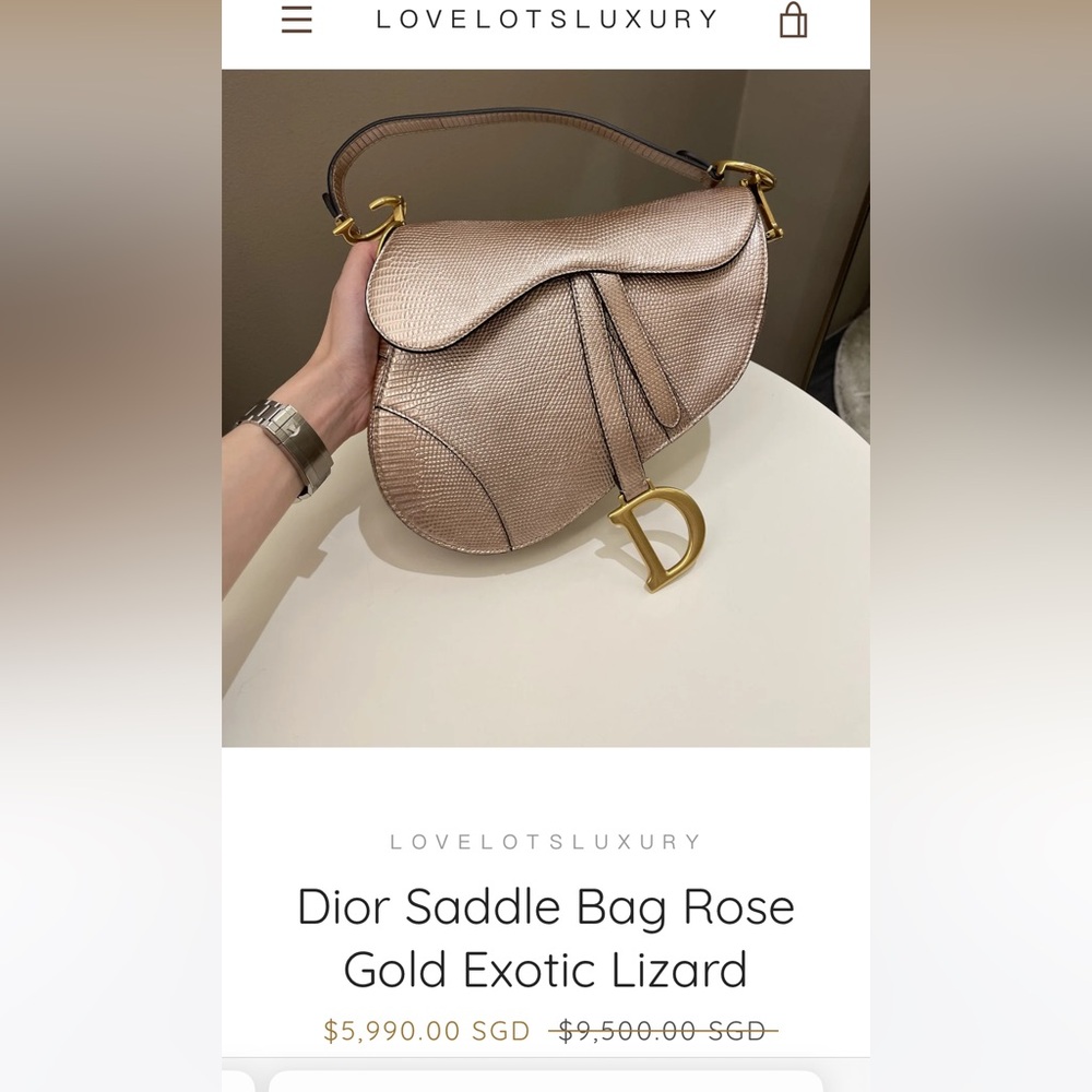 Dior saddle bag ultra rare champagne gold - Picture 15 of 15